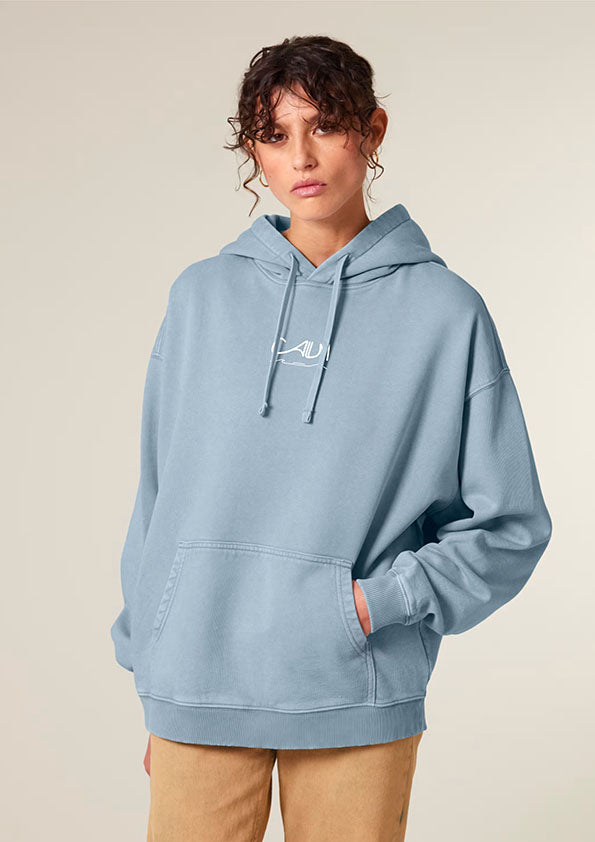 Explore Oversized Vintage Hoodie Limited Edition